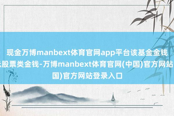 现金万博manbext体育官网app平台该基金金钱设立:无股票类金钱-万博manbext体育官网(中国)官方网站登录入口