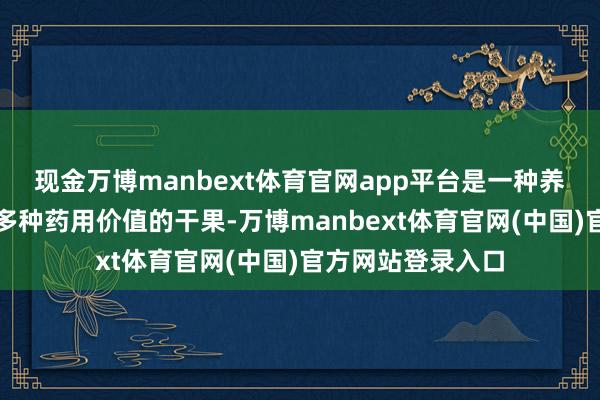 现金万博manbext体育官网app平台是一种养分价值高、具有多种药用价值的干果-万博manbext体育官网(中国)官方网站登录入口